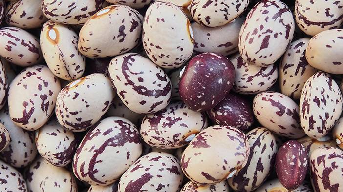 Bakliyatlarınız böcekleniyor mu? Birde böyle saklamayı deneyin 3